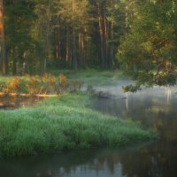 Прозрачное утро :: Анатолий Гордиенко