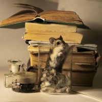 Что-то будет :: Владимир Шишкин