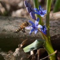 по делам... :: Всеволод 
