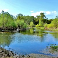 Речка Свинцовка. :: Восковых Анна Васильевна Речка Свинцовка. :: Восковых Анна Васильевна