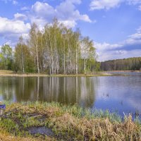 С утра сидит на озере любитель рыболов... :: Сергей Цветков