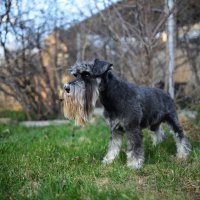 Друг :: Петр 