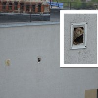 Хозяйка одобрила :: Сеня Белгородский