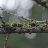 ___ :: Yuriy V ___ :: Yuriy V