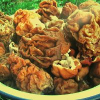 Итог тихой охоты :: Людмила Смородинская