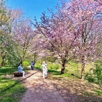 Весна. :: ИРЭН@ . Весна. :: ИРЭН@ .