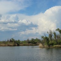 Донские зарисовки. :: Виктор 