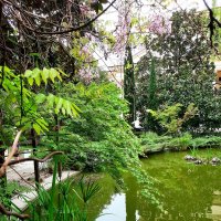 ЧЕРЕПАШЬЕ ОЗЕРО :: Tata Wolf