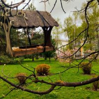 В Ботаническом саду :: Галина Бобкина