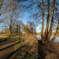 *** :: Николай Гирш