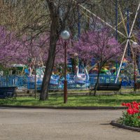 Городской парк :: Игорь Сикорский