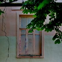 Окна бывают разные... :: Николай Саржанов