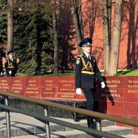 Сопровождающий. :: Татьяна Помогалова Сопровождающий. :: Татьяна Помогалова