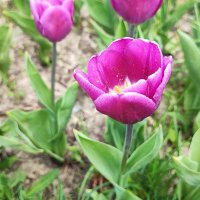 ,,, :: Сергей Тимоновский