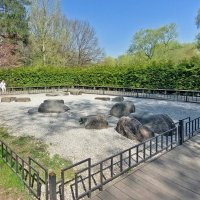 Сад вдохновения и созидания. (Сад камней) в Ботаническом саду. :: ИРЭН@ .