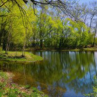 Весна в Кусково :: Наталья Лакомова Весна в Кусково :: Наталья Лакомова