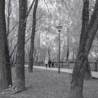 Прогулки в Весеннем Парке :: юрий поляков