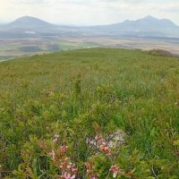 Кавминводы... на Лысой горе... :: Нина Бутко