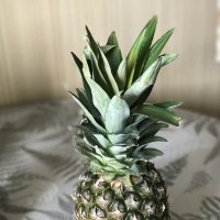 Десерт. :: Любовь 