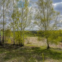 Зелёный апрель... :: Владимир Жданов