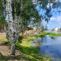Солнечный день :: Ольга 