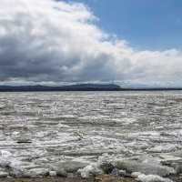 Амур просыпается. :: Виктор Иванович Чернюк