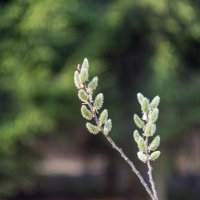 ___ :: Yuriy V ___ :: Yuriy V