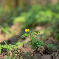 ___ :: Yuriy V ___ :: Yuriy V