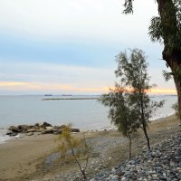 Вечерняя прогулка :: Oleg4618 Шутченко