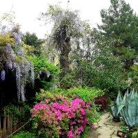 УЮТНЫЙ УГОЛОК :: Tata Wolf