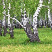 А я лягу, прилягу ... :: Maxxx©  