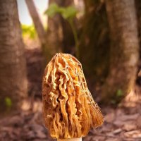 Сезон открыт :: IMir 