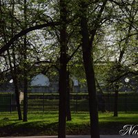 *** :: Наталья Вязигина