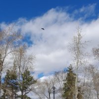 Апрельский день . :: Мила Бовкун