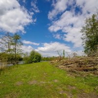 В конце апреля... :: Николай Гирш