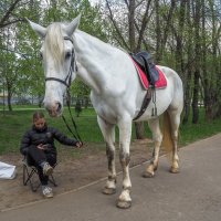 Поджидая Седока :: юрий поляков Поджидая Седока :: юрий поляков
