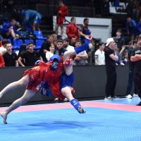 Боевое Самбо :: Александр Гриднев