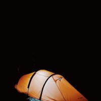 Огонёк в лесной ночи... :: Георгиевич 