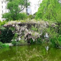 Черепаховое озеро :: Tata Wolf