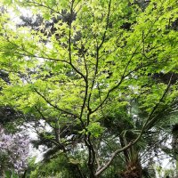 Театральный сквер! :: Tata Wolf