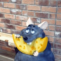 Мышь поедает сыр :: Сергей М 