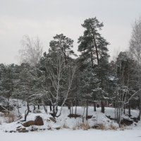Парк зимой :: Дмитрий Петров