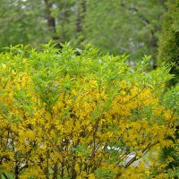 Переход на летний :: Сеня Белгородский