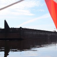 Птичья баржа :: Марсель Валеев