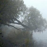 *** :: Aleksandr Gal