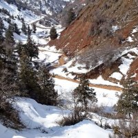 ЗИМНЯЯ ПРОГУЛКА. :: Виктор Осипчук ЗИМНЯЯ ПРОГУЛКА. :: Виктор Осипчук