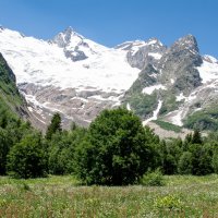 Домбай :: Геннадий Фадеев