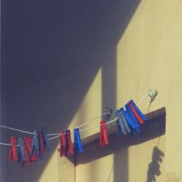 прищепки :: Лера 