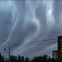 Ураган :: Александр Тарноградский