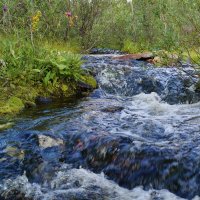 Бурный поток :: Сергей Швечков